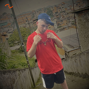Apanhei da Vida