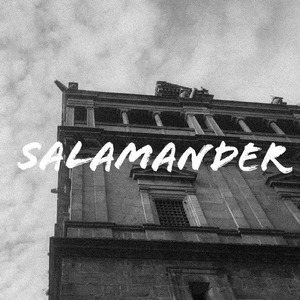Salamander