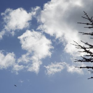 And So It Began Again