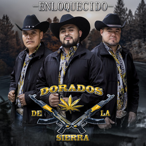 Enloquecido