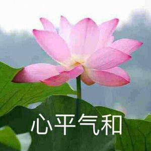 享受进行曲