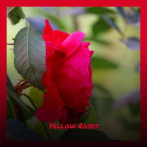 Don't Think It Ain't Been Fun, Dear 'Cause It Ain't