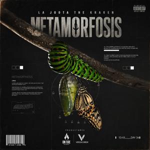 Metamorfosis