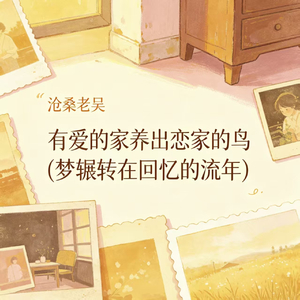 有爱的家养出恋家的鸟(梦辗转在回忆的流年)
