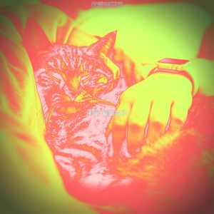 抚慰的可爱的猫回忆