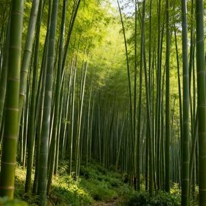 就算求你别离开我
