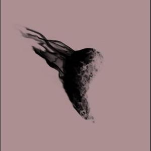 一朵花（Prod By Caesar L）