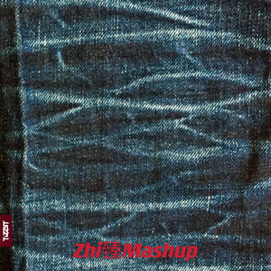 TizzyT-冷战LENGZHAN(Zhi臻Mashup)