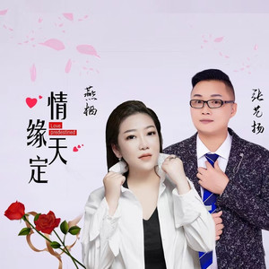 情缘天定 (Live)