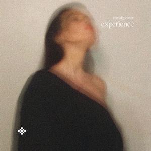 Experience (Cover)