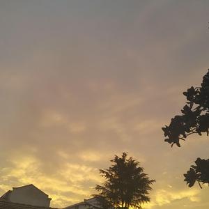 《我曾》cover：隔壁老樊