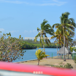 办公事务雅观的爵士