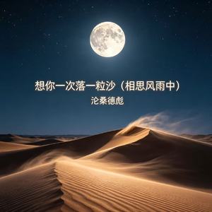 想你一次落一粒沙（相思风雨中）