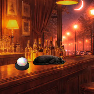 Internal Aurora Jazz