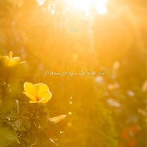 I Wanna Fill Your Life With Love