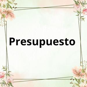 Presupuesto