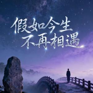 假如今生不再相遇