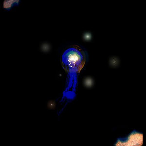 Building Cities With Feathers