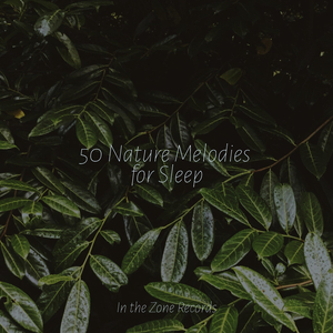 Streamside Serenity