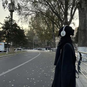 搀扶马健涛（正版）