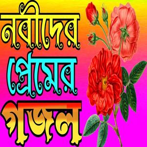 Nobir Premikera Dise Hara Moroner Voy Korena | New gojol