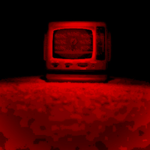 Hide