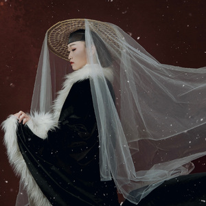 铁羽玄甲（二胡版）