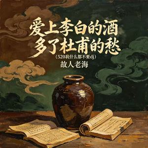 爱上李白的酒多了杜甫的愁（520我什么都不要dj）