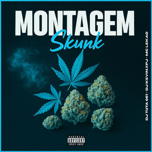 Montagem Skunk