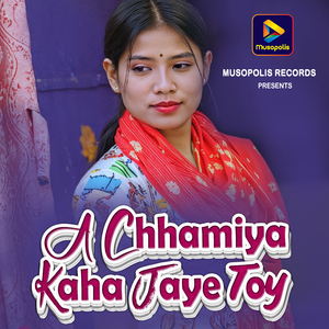 A Chhamiya Kaha Jaye Toy
