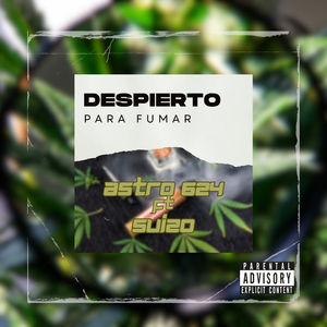 Despierto para Fumar