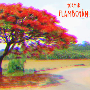 Flamboyán