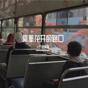 凤凰花开的路口（cover：林志炫）