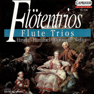 Flute Trio, Op. 63, J. 259: I. Allegro moderato