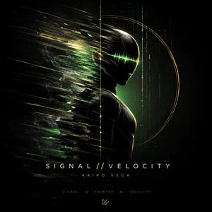 Velocity