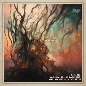 Carefully (Jonas Fasching Remix)