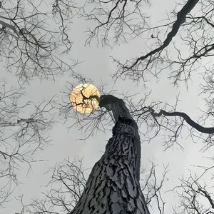 远山少年《风儿她轻轻转》