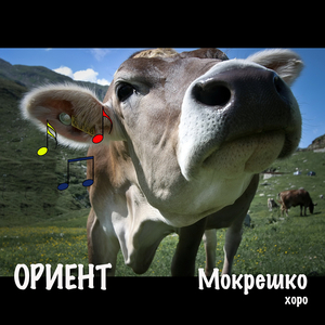Мокрешко хоро