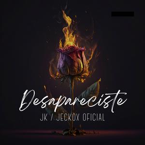 Desapareciste