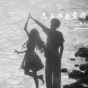 怎么办我爱你