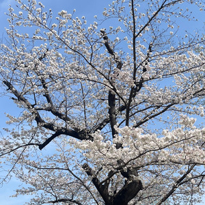 青春は短く濃かった