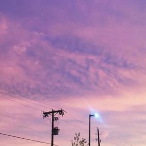 我想在夏天和你喝一杯可乐