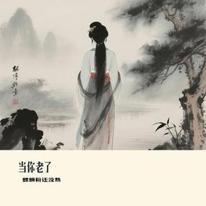 当你老了 (Cover 雷婷)