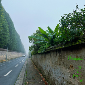 Silence in the Clouds