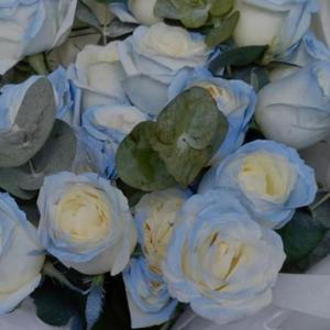 冬天的雪花飘在夏天的树