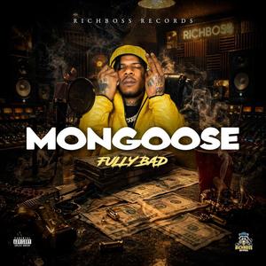 Mongoose (feat. Richboss records)