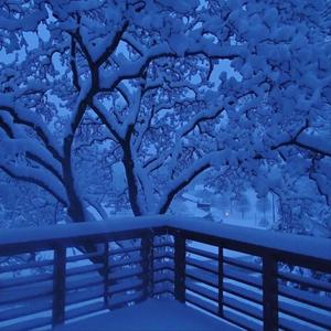 Dazecore Winter