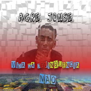 Vida da Delinquência Não