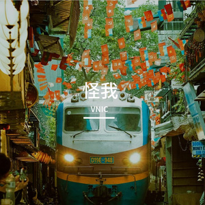 怪我