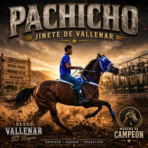 PACHICHO-JINETE DE VALLENAR